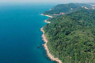 TES战队新阵容首次亮相，团队配合初显成效，tes战队官方产品